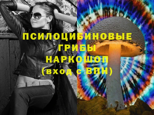 прущий лед Алексин