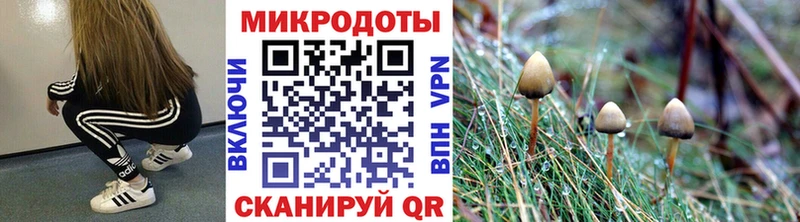 Галлюциногенные грибы Psilocybe Челябинск