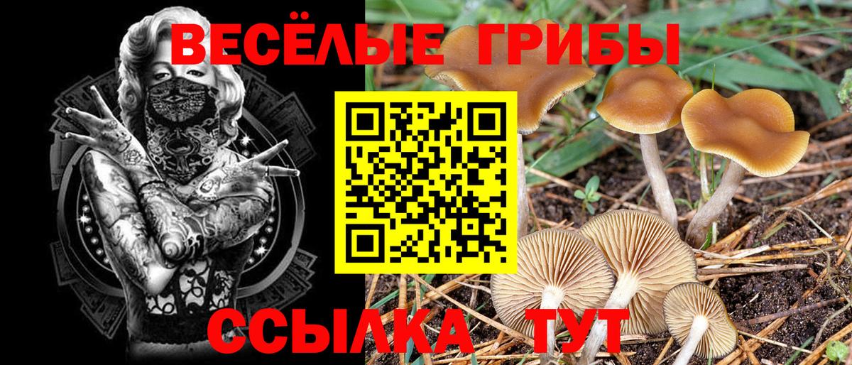 Челябинск  Галлюциногенные грибы MAGIC MUSHROOMS  Псилоцибиновые грибы MAGIC MUSHROOMS  Вход с VPN 