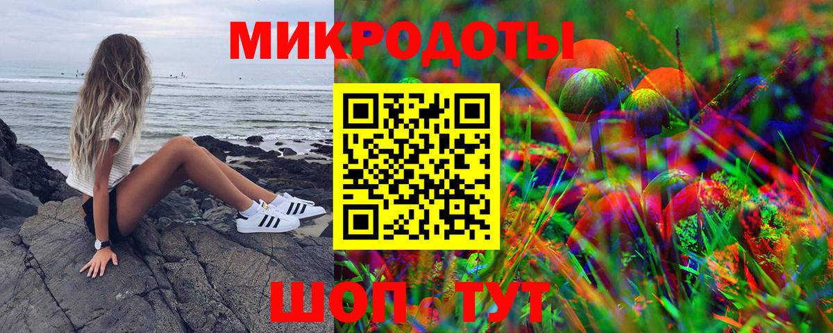 Псилоцибиновые грибы Psilocybine cubensis Челябинск